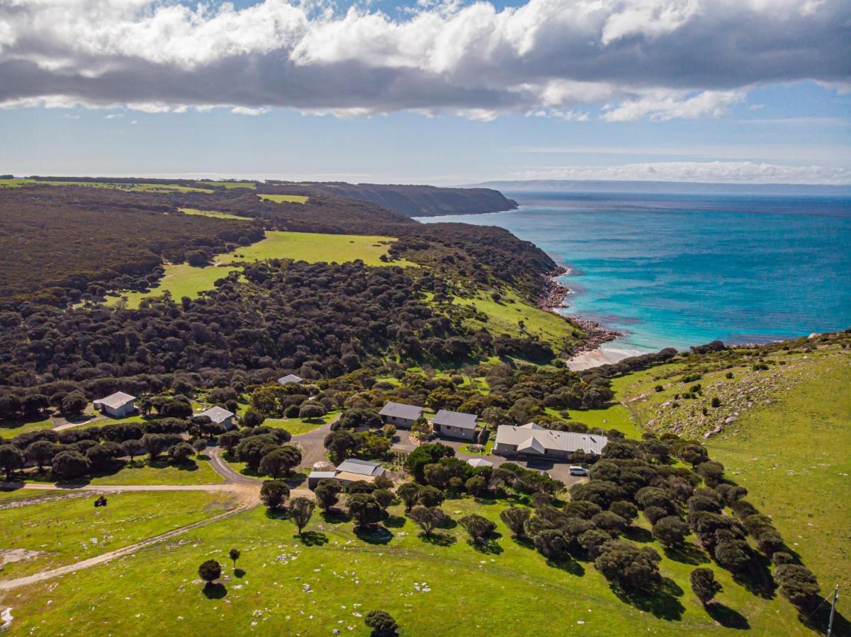 Sea Dragon Kangaroo Island 5* Penneshaw